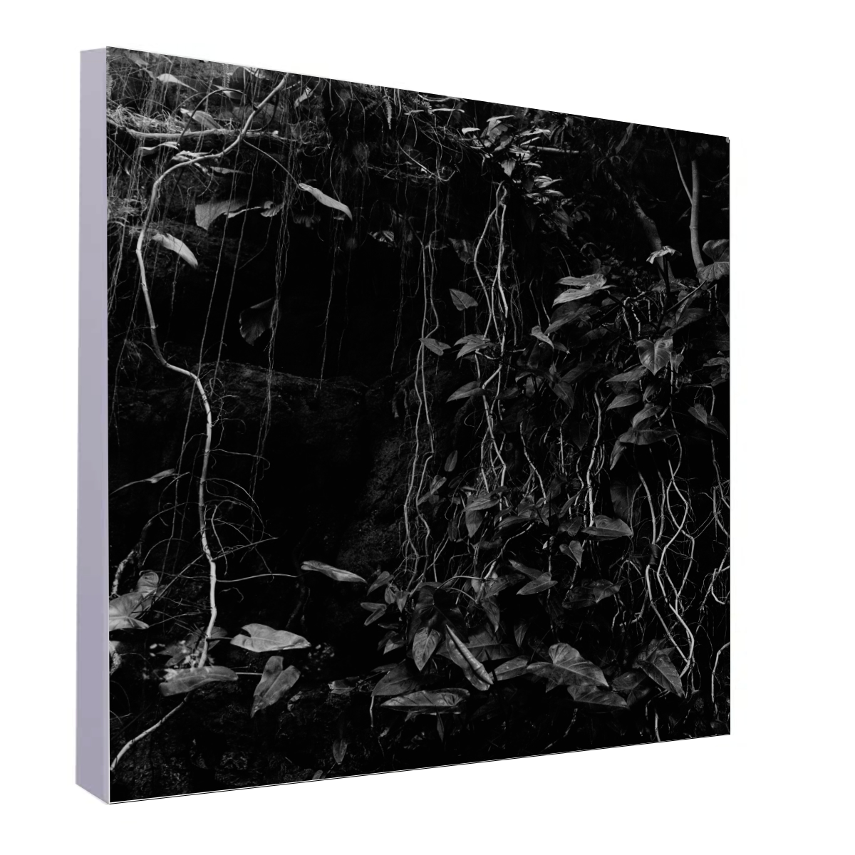 Acoustic Art Panel "Jungle"