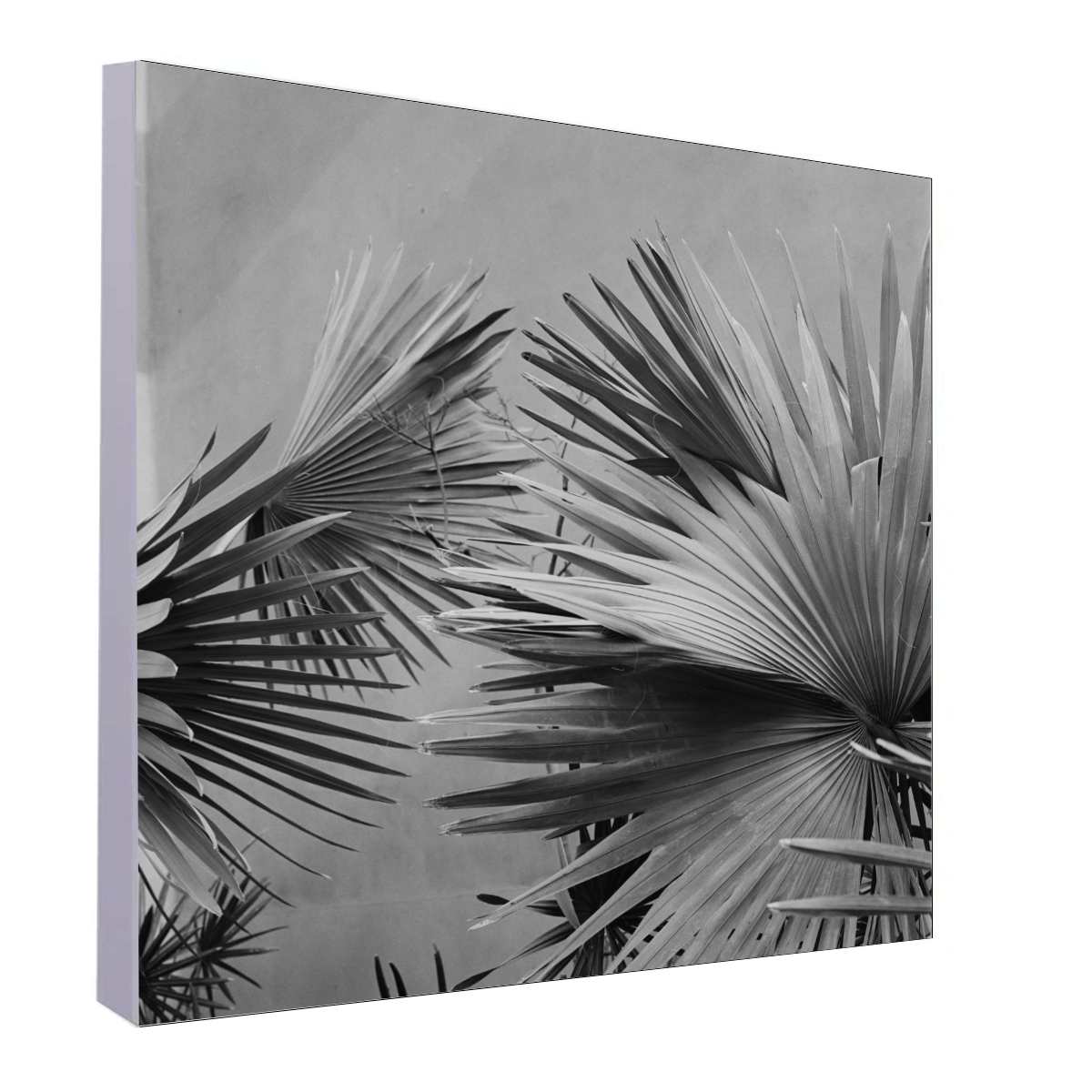 Acoustic Art Panel "Palm"